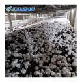 Smart Farms Container Mushroom Growing Equipment